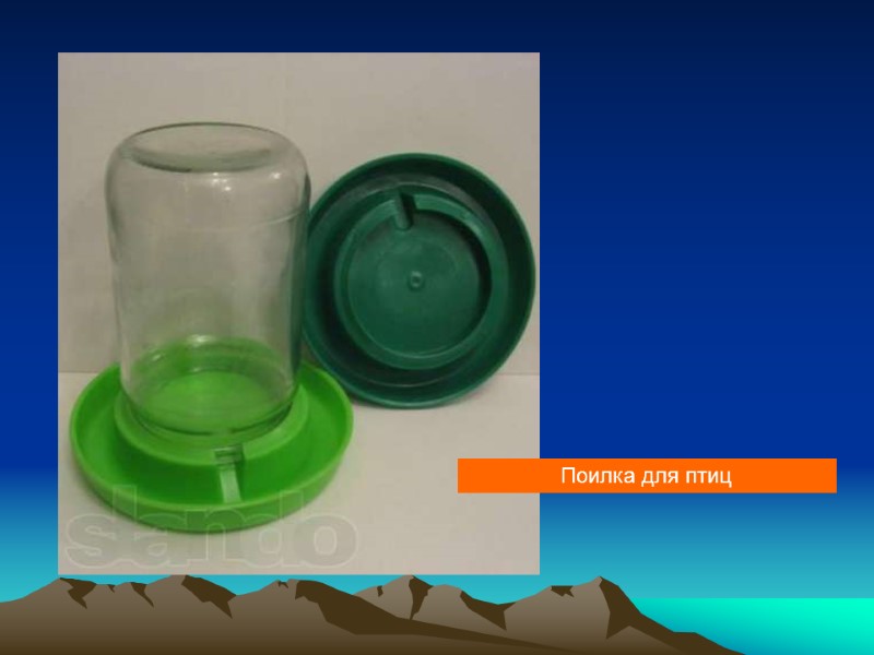 Поилка для птиц